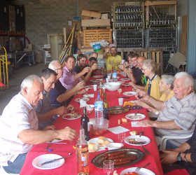 Vendanges 2014-5