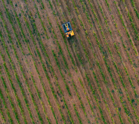 Vendanges 2024