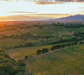 le-vignoble2025