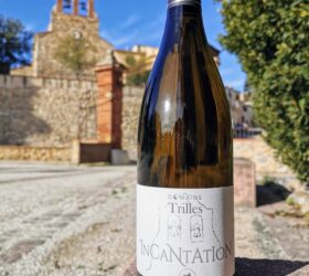 les-vins2025-